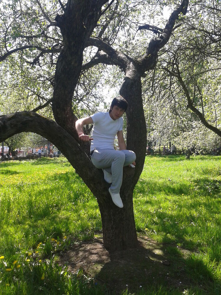 ���������� ������, ���� ������� Gaybullo, 32 ����, ������������ ��� ������