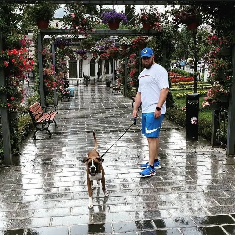 ���������� ����� �������, ���� ������� ����, 33 ����, ������������ ��� ������, ����� � ���������