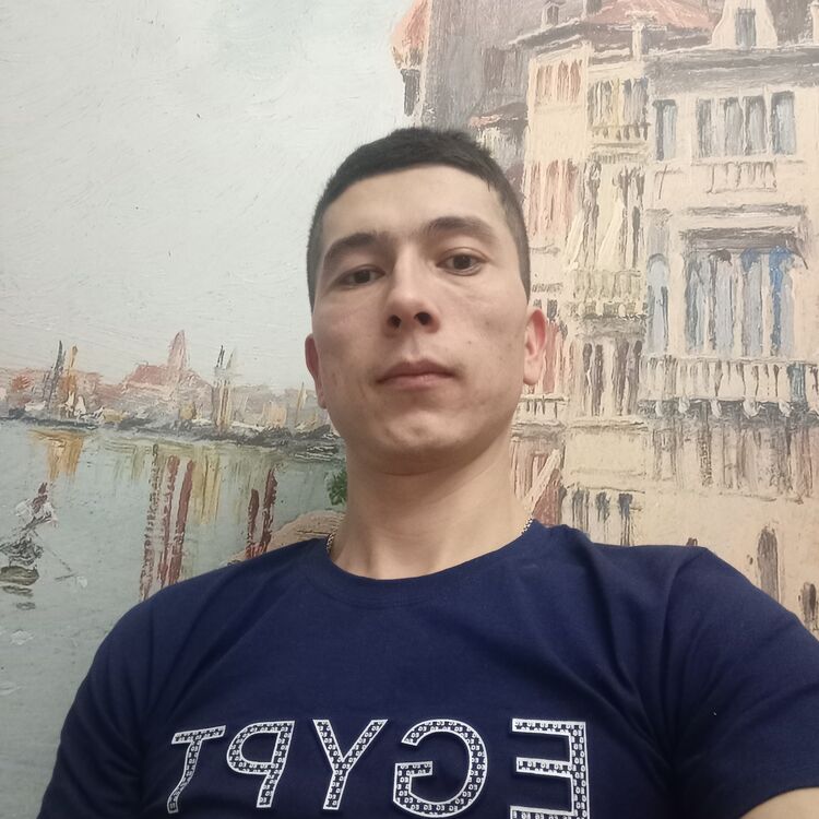  41466902  , 28 ,    