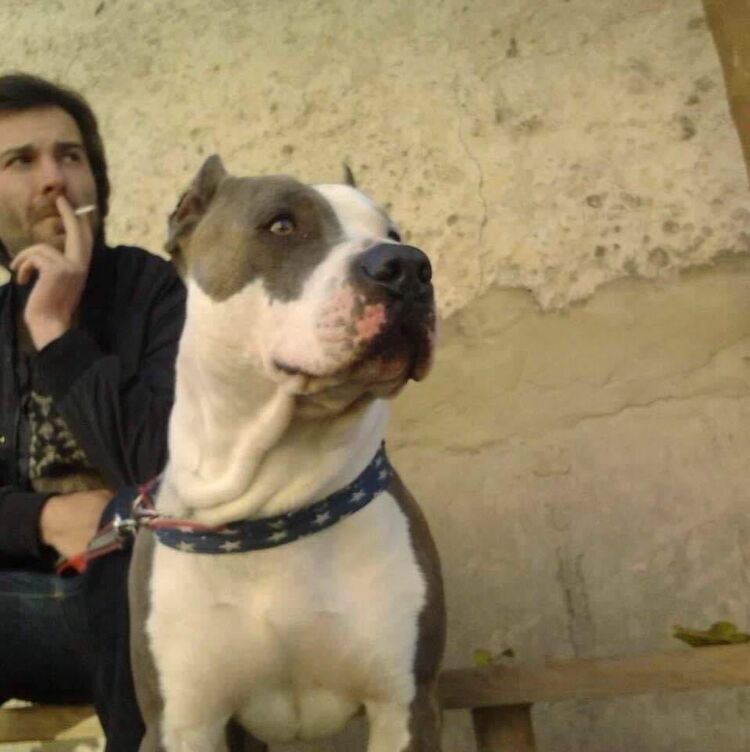  -,   George, 37 ,   ,   