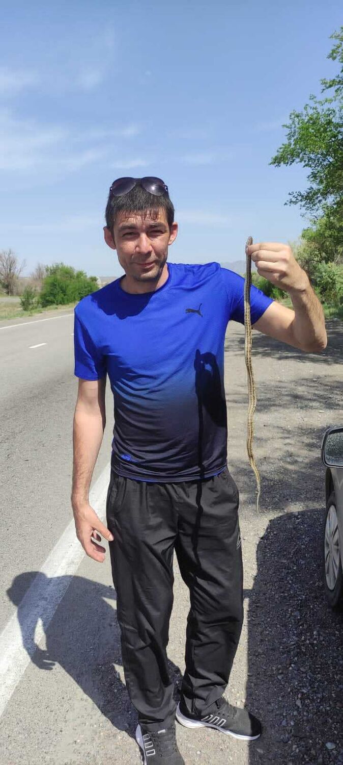 ���������� ���, ���� ������� �����, 38 ���, ������������ ��� ������, ����� � ���������