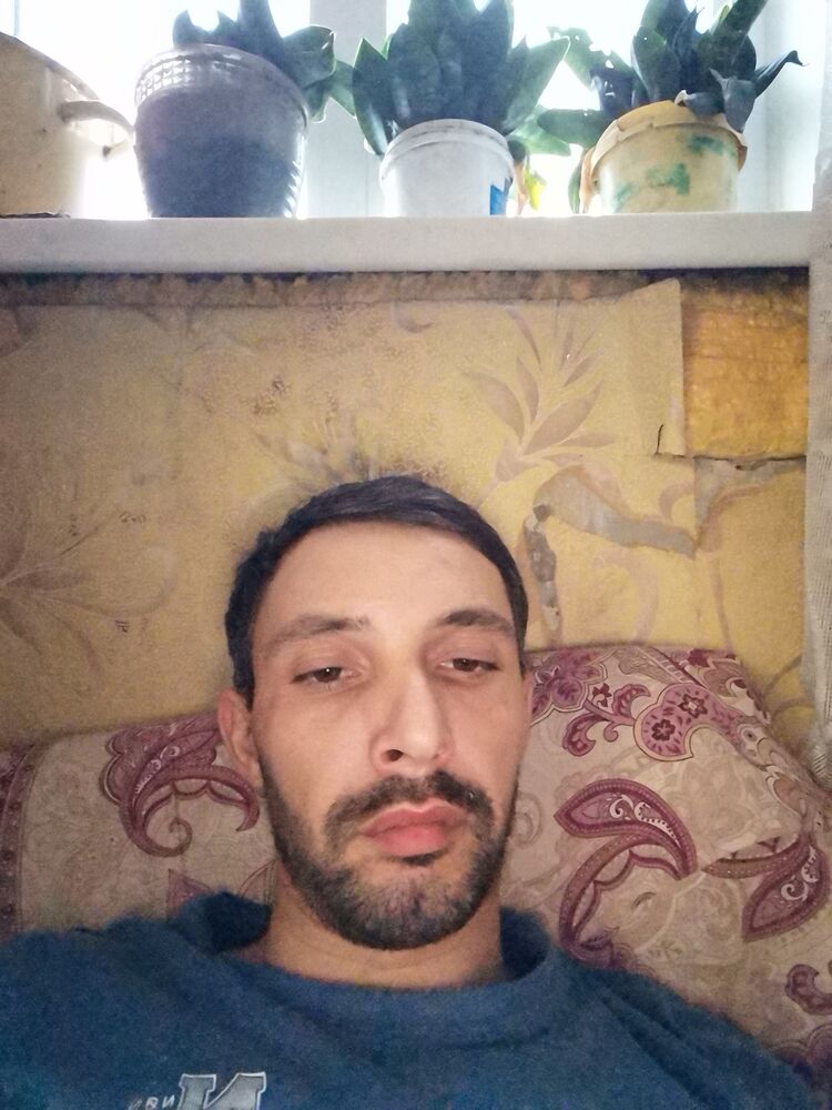 ���������� ����, ���� ������� ��������, 36 ���, ������������ ��� ������, ����� � ���������