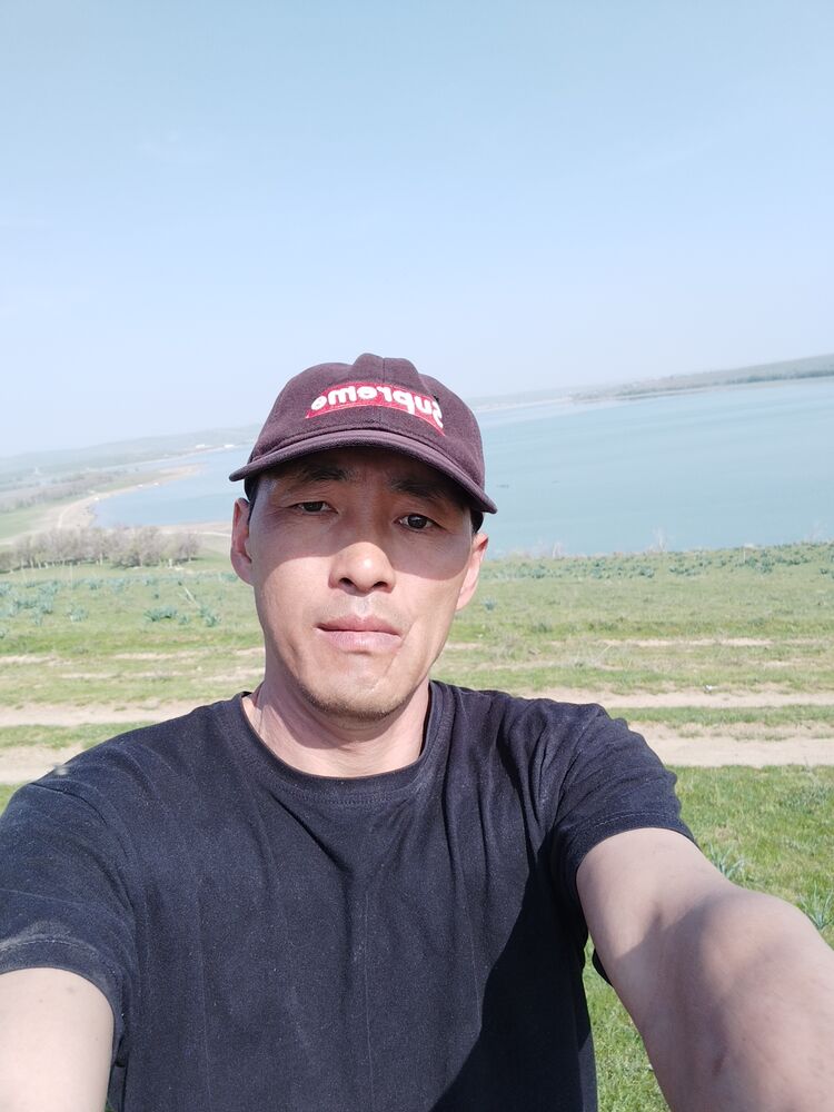  34041682  , 43 ,    
