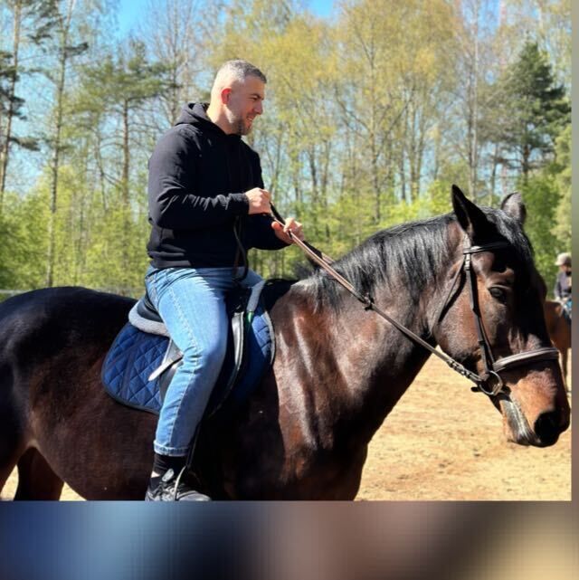  37814152  , 31 ,    -