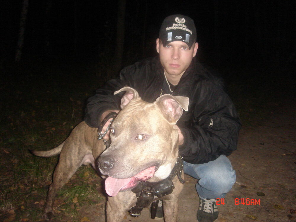 ���� 8538572 ������� ����, 40 ���, ���� ���������� � ������