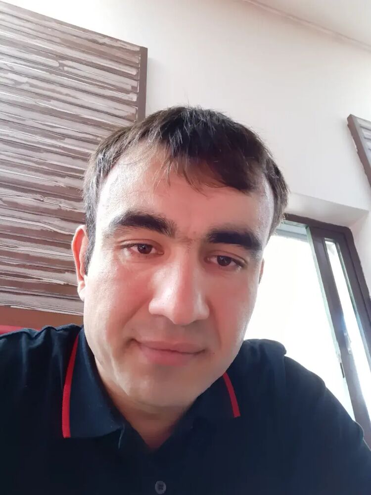  33233402  , 40 ,    