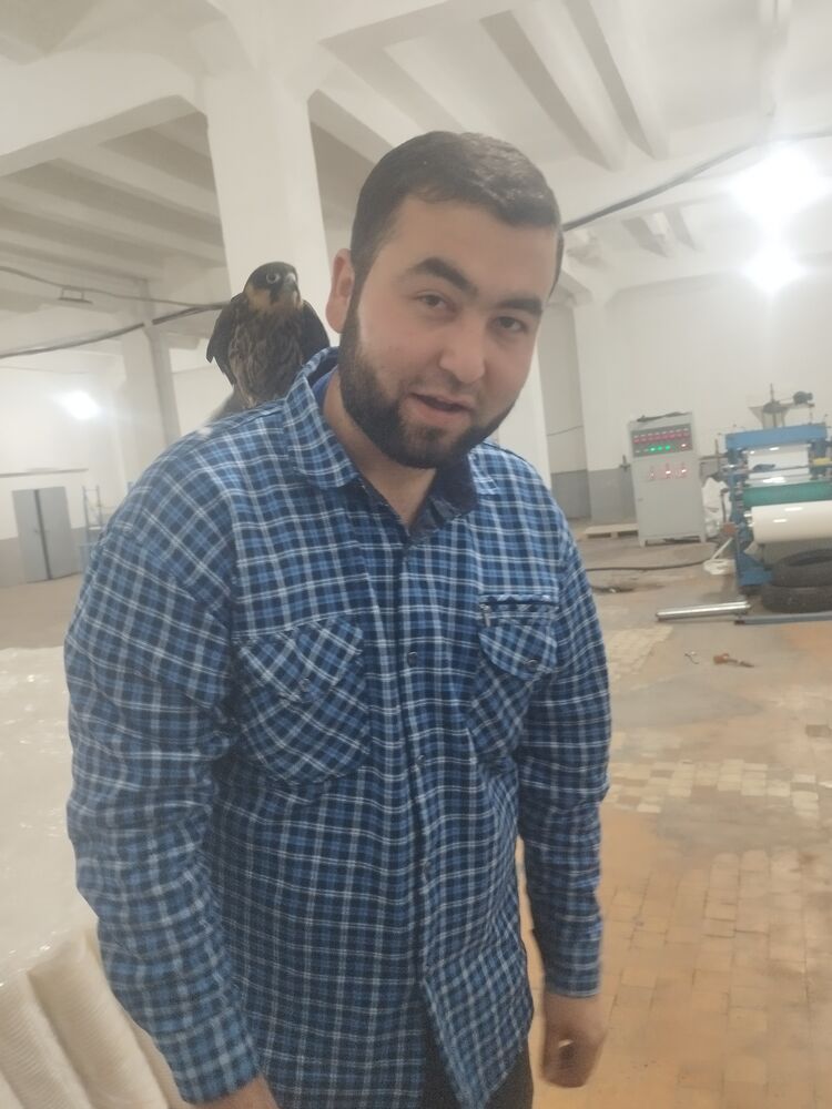 52934332  , 24 ,    