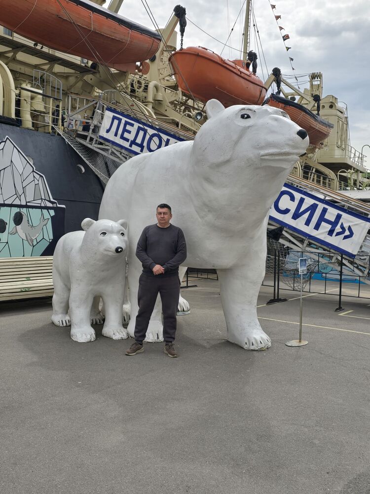  53250342  , 54 ,    -