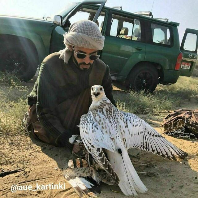 ���� 49713592 ������� �r Adiz, 34 ����, ���� ���������� � ������