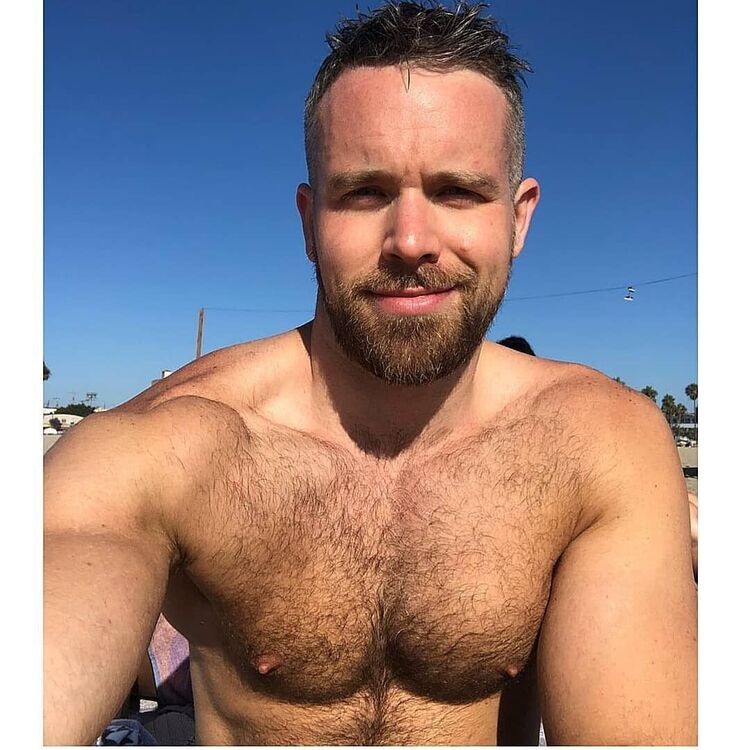 ���������� �����-���������, ���� ������� DIMA, 51 ���, ������������ ��� ������, ����� � ���������, c�������� ���������, ���������