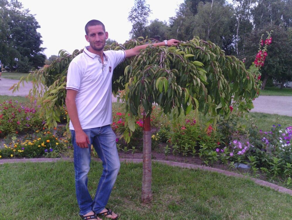 ���������� ������, ���� ������� ���������, 41 ���, ������������ ��� ������