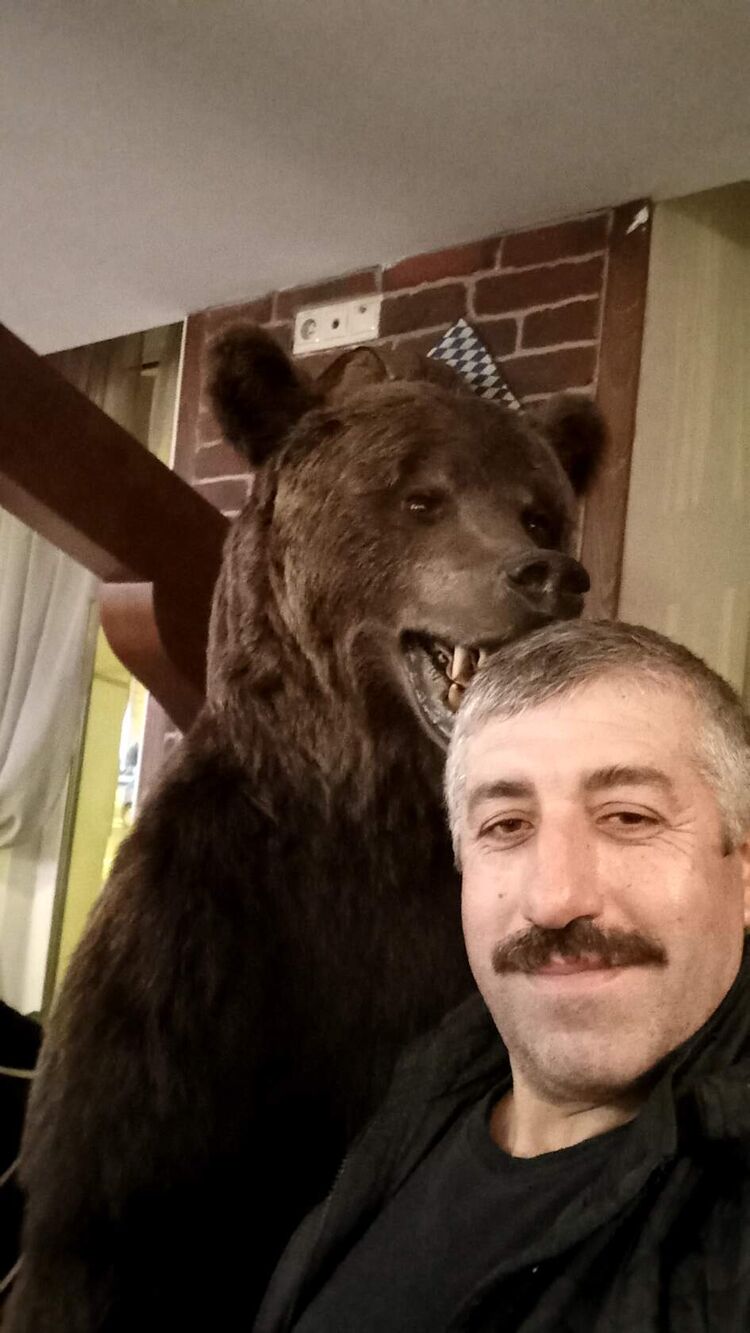  28561412  , 57 ,    -