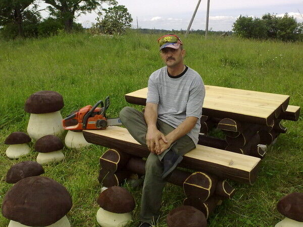  44818632  Poma, 54 ,    