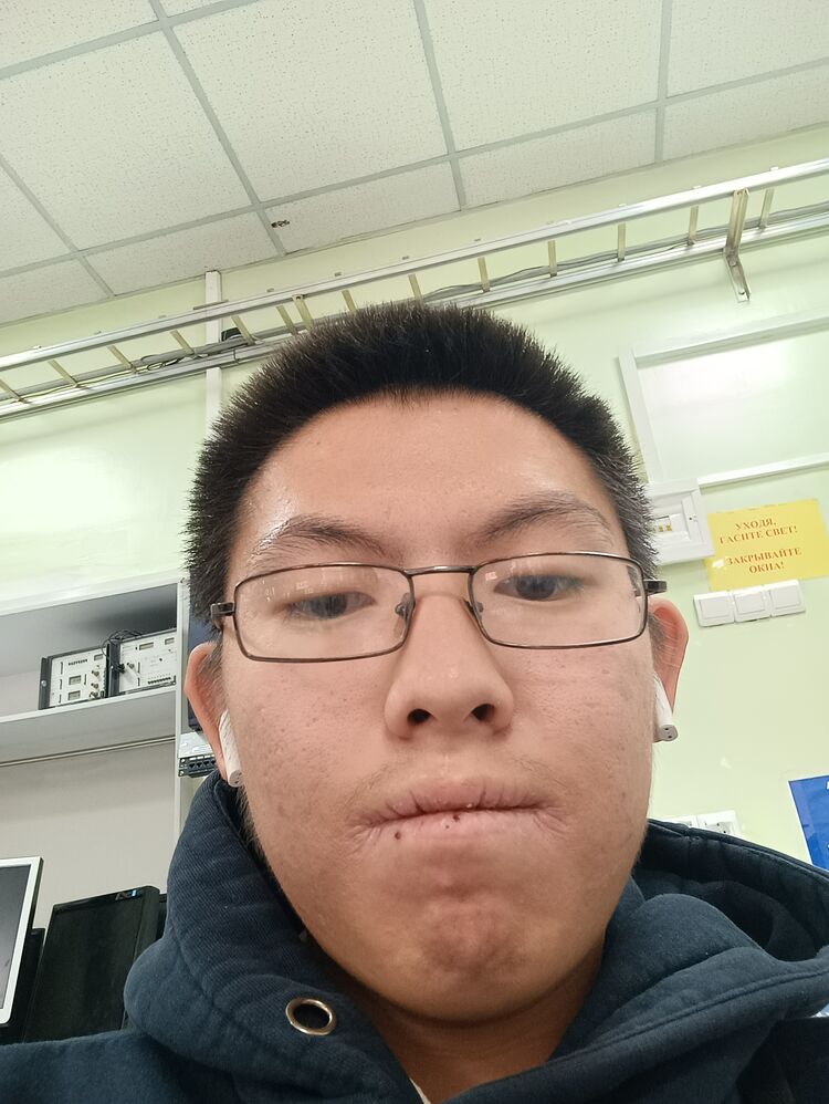  54663062  Vert, 20 ,    