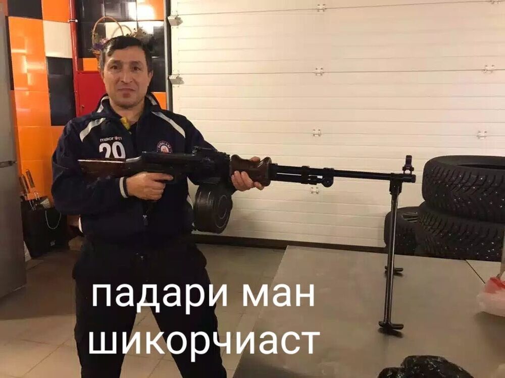  33405262  , 44 ,    