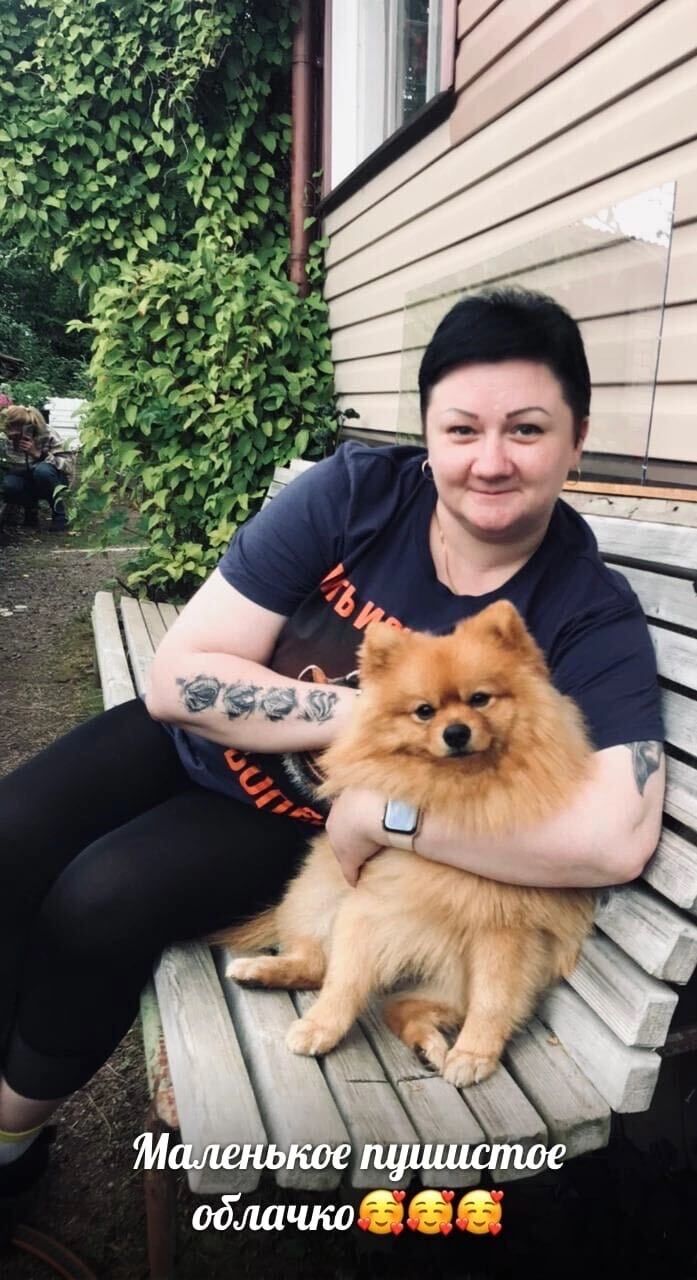 ���� 29037142 ������� �������, 40 ���, ���� ���������� � �����-����������