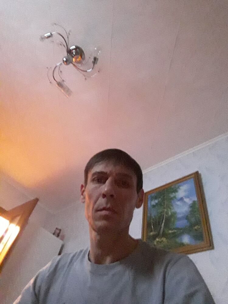  39577522  , 44 ,    -