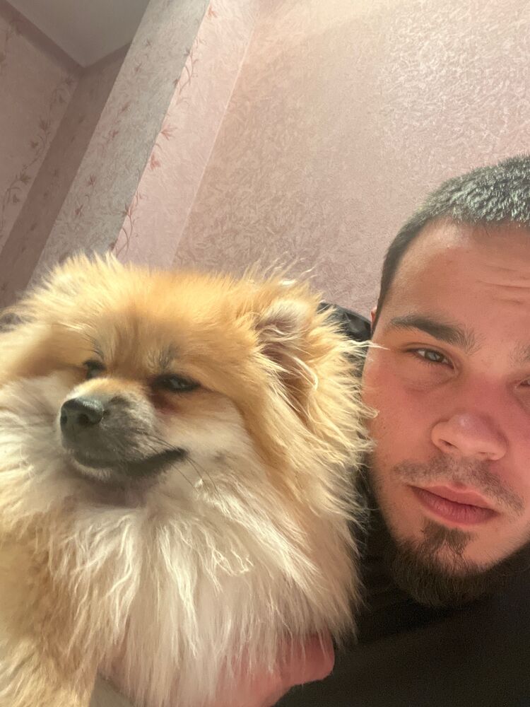 ���� 36205672 ����� �����, 25 ���, ���� ���������� � ��������