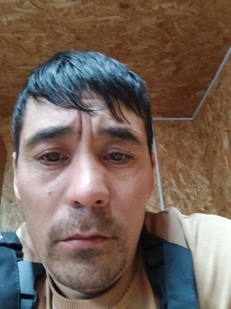  41780442  , 40 ,    