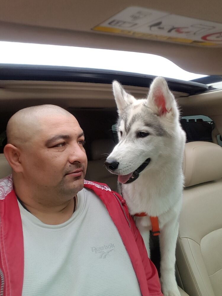 ���������� ��������, ���� ������� Ion, 43 ����, ������������ ��� ������, ����� � ���������, c�������� ���������