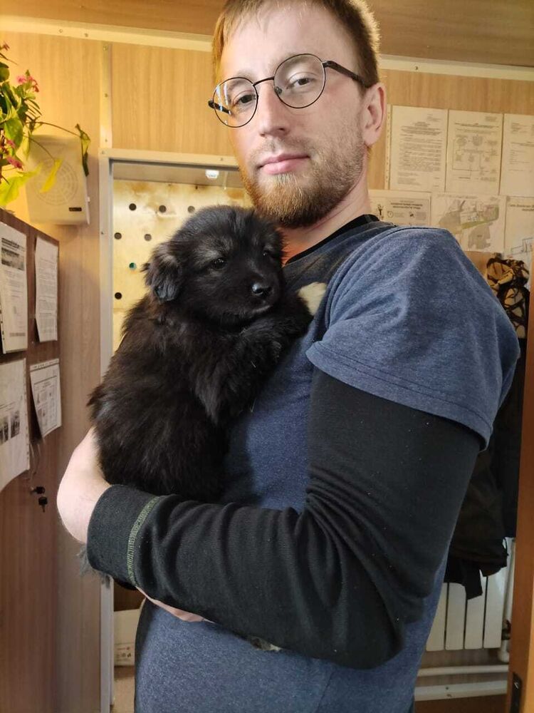 ���������� ����������, ���� ������� Valentin, 31 ���, ������������ 