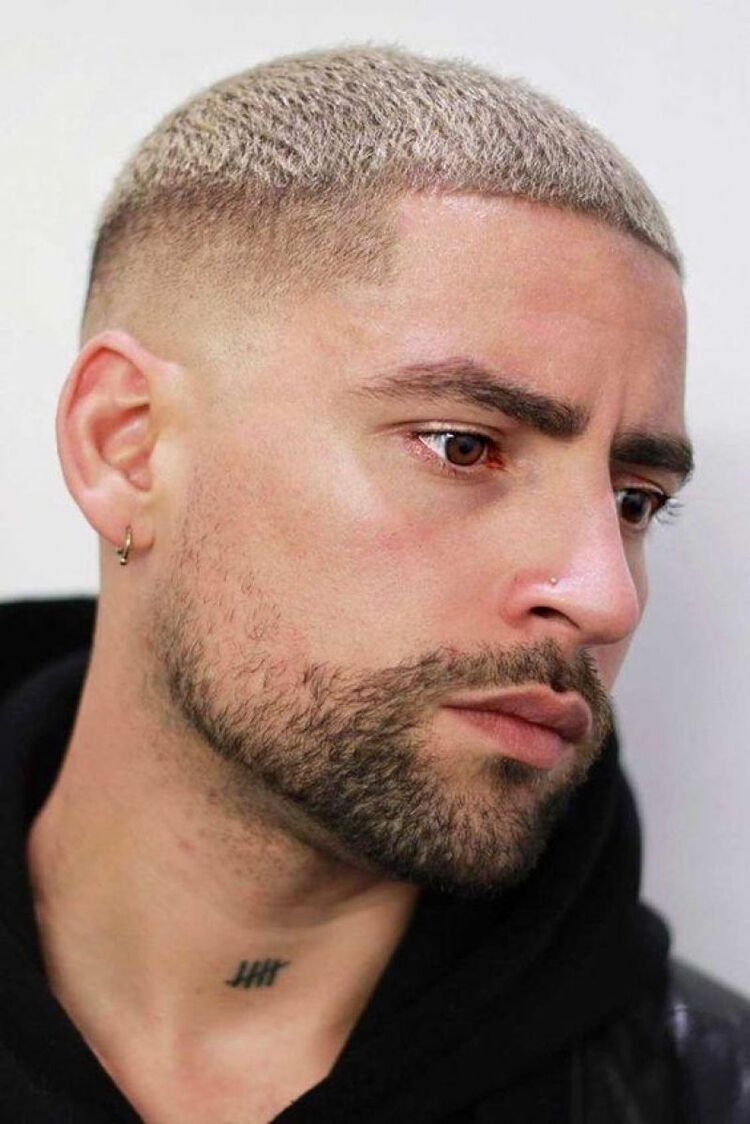 ���� 24686032 ����� �������, 22 ����, ���� ���������� � ������