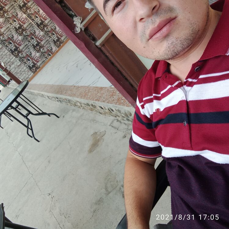 ���� 24468742 ������� ����, 29 ���, ���� ���������� � ������