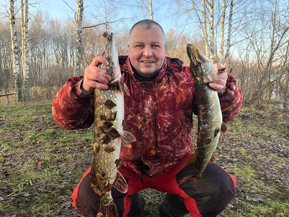 ���������� �������, ���� ������� �������, 47 ���, ������������ ��� ������, ����� � ���������, c�������� ���������