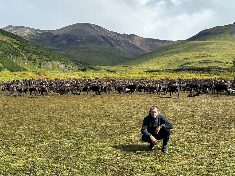 ���� 55593662 ������� ����, 32 ����, ���� ���������� � ��������