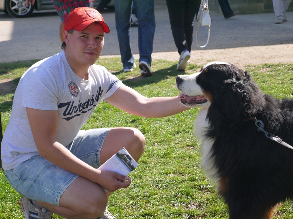 ���� 33472502 ������� ����, 36 ���, ���� ���������� � �����������