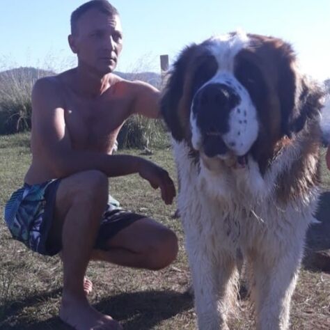  ,   , 48 ,   ,   , 