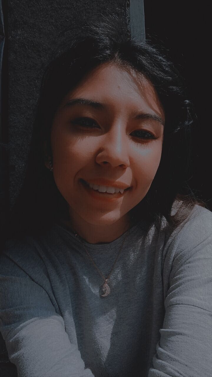  44586702  , 22 ,    