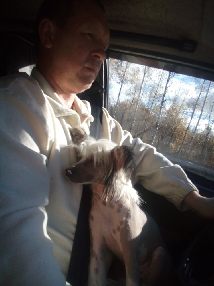 ���������� �����������, ���� ������� ������, 48 ���, ������������ ��� ������, ����� � ���������, c�������� ���������, ���������