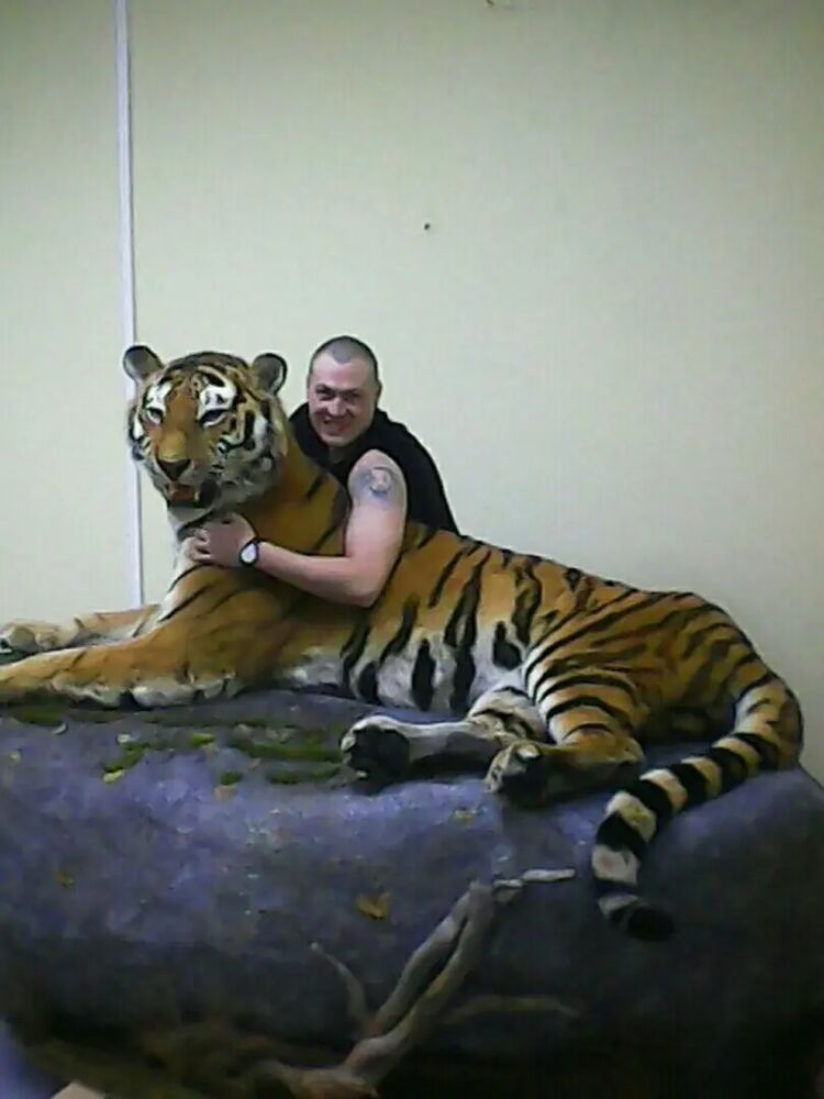 ���������� ������, ���� ������� �����, 43 ����, ������������ 