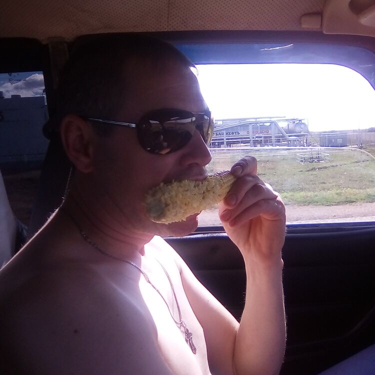 ���������� �����, ���� ������� ������, 43 ����, ������������ ��� ������, ����� � ���������