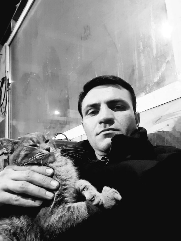 ���������� ������, ���� ������� ����, 41 ���, ������������ ��� ������, ����� � ���������, c�������� ���������