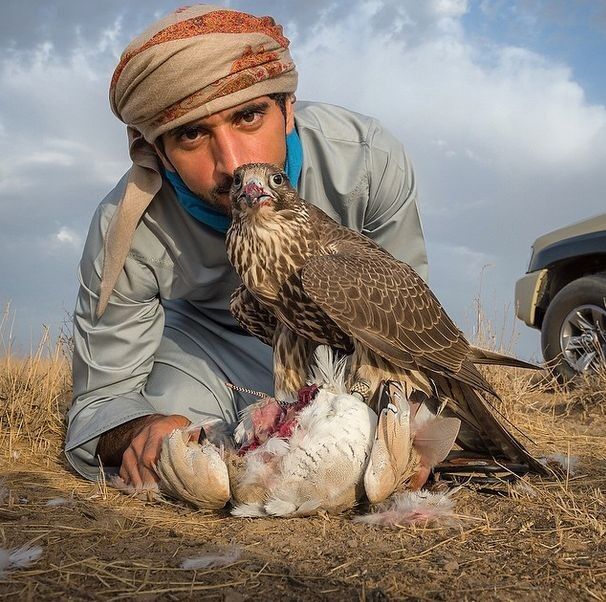 ���������� �������, ���� ������� ������, 46 ���, ������������ ��� ������