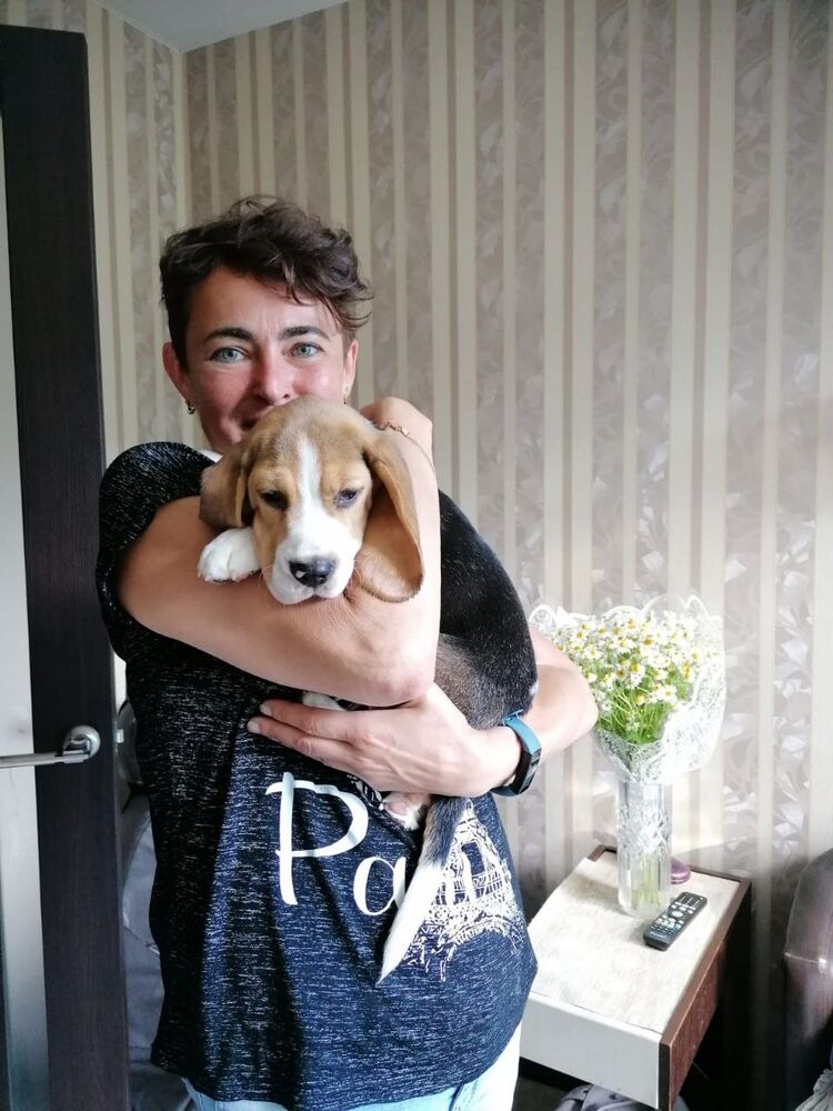 ���������� �����-���������, ���� ������� ��������, 57 ���, ������������ ��� ������, ����� � ���������