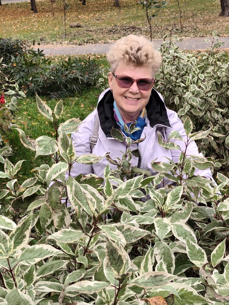 ���������� ���������, ���� ������� �������, 68 ���, ������������ ��� ������, ����� � ���������