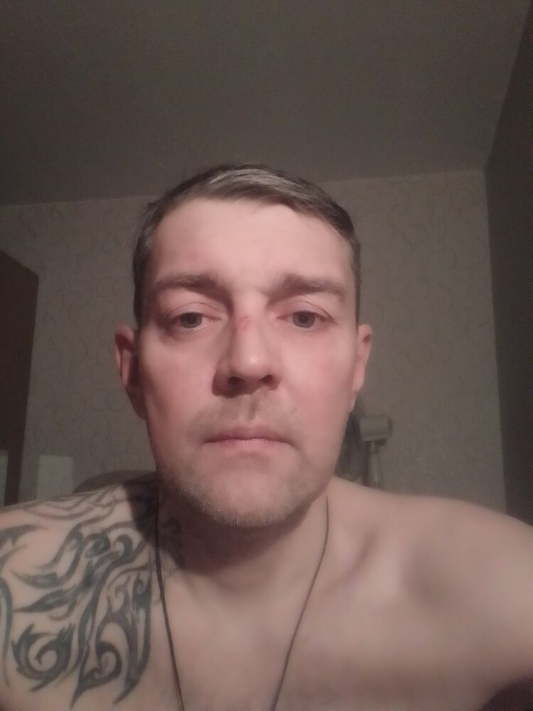  49954502  , 43 ,    