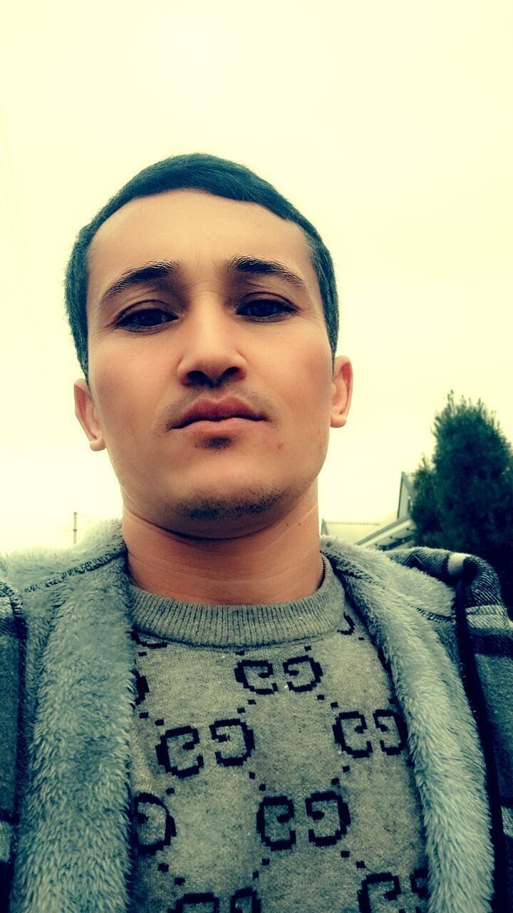  40686082  , 31 ,    