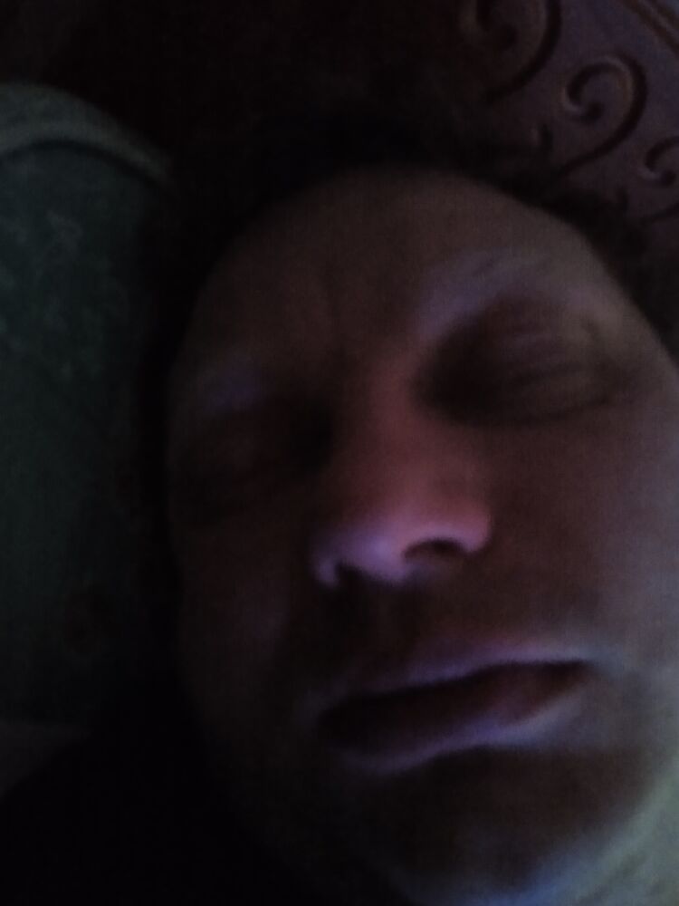  31331582  , 41 ,    