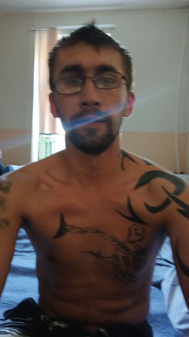 43801322  , 29 ,    -