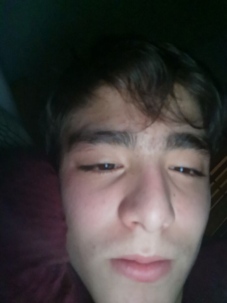 ���� 31371142 ����� Black cat, 25 ���, ���� ���������� � ����������