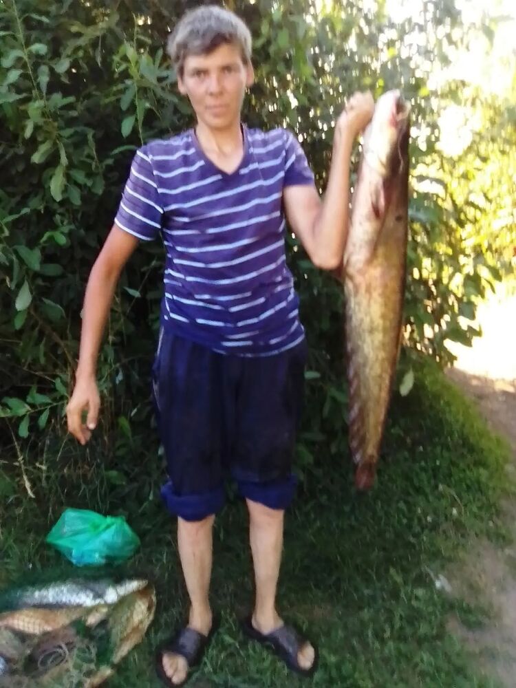   ,   , 41 ,   c 