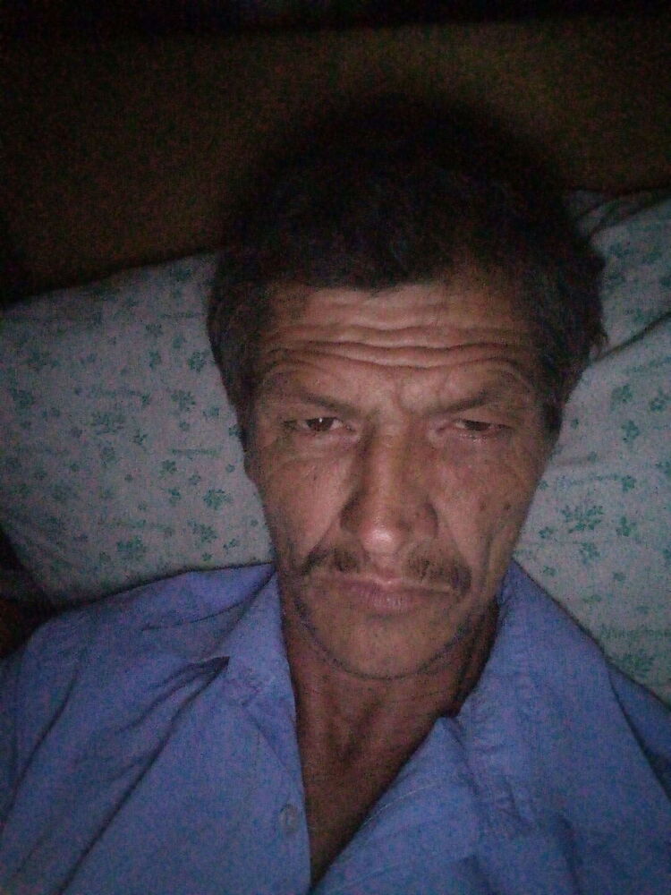  29188162  , 49 ,    