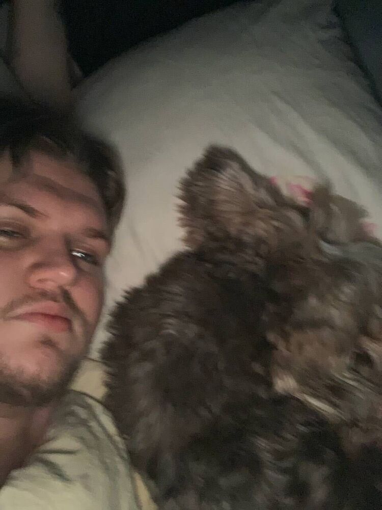 ���������� �����, ���� ����� ������, 25 ���, ������������ ��� ������, ����� � ���������