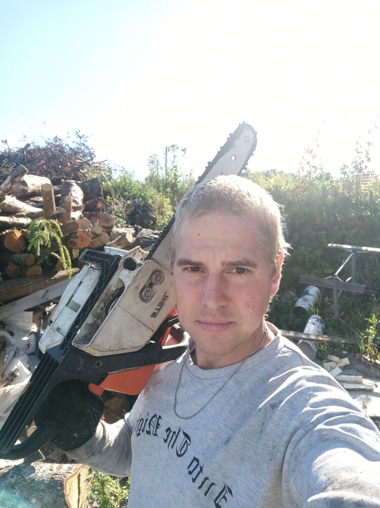  29155852  , 36 ,    -