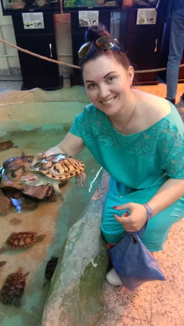 ���������� �����������, ���� ������� �������, 45 ���, ������������ ��� c�������� ���������