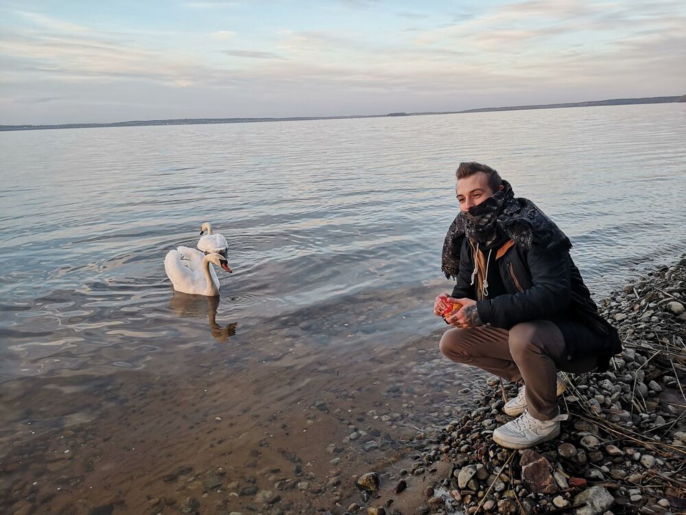 ���� 17020492 ������� �������, 29 ���, ���� ���������� � ������